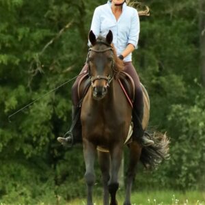 Dr. Sabine Schröder, Traumatherapie und Coaching mit Pferden
