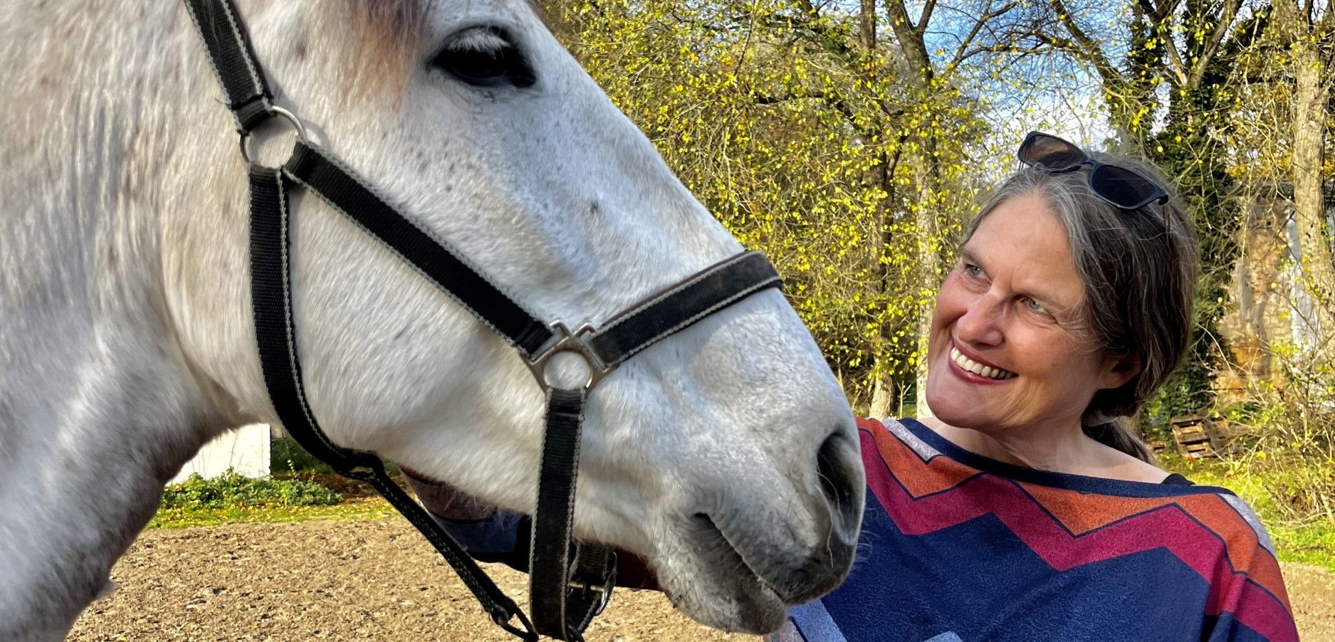 Dr. Sabine Schröder - Traumatherapie und Coaching mit Pferden